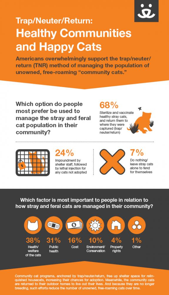 Infographic: Trap/Neuter/Return Strategy Helps Manage Stray Cats In U.S ...